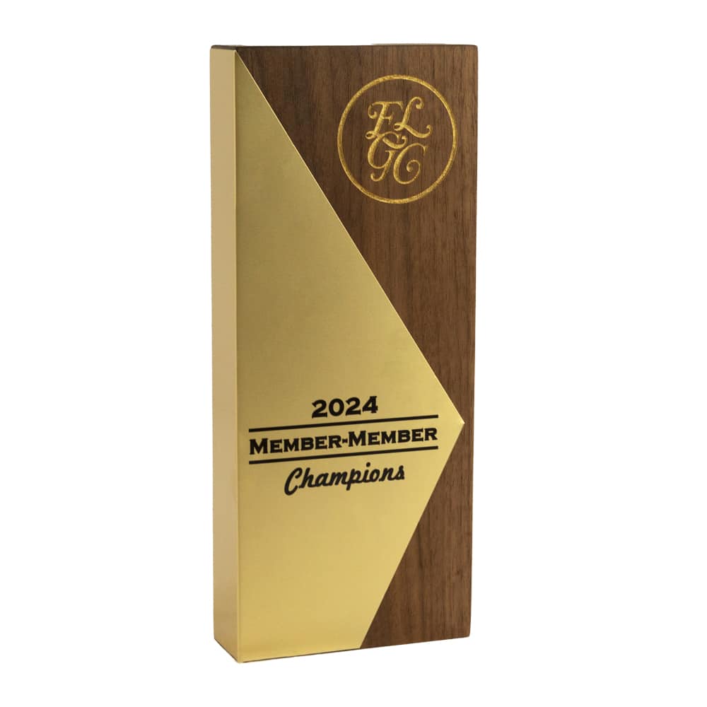 Pinnacle Achievement Award - Image 3