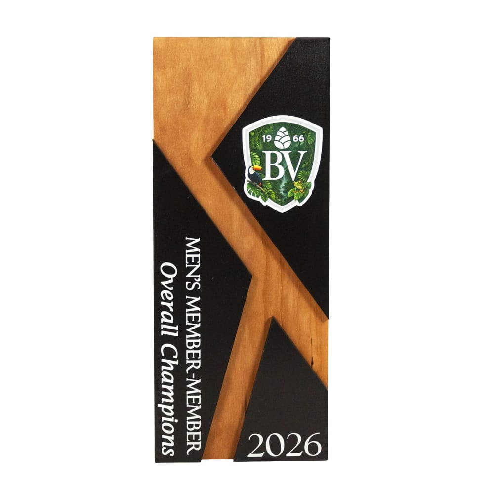 A Piece of Excellence Award - Image 13