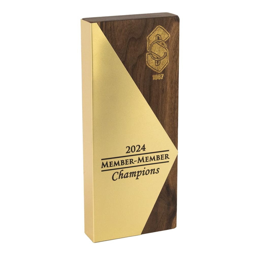 Pinnacle Achievement Award - Image 5