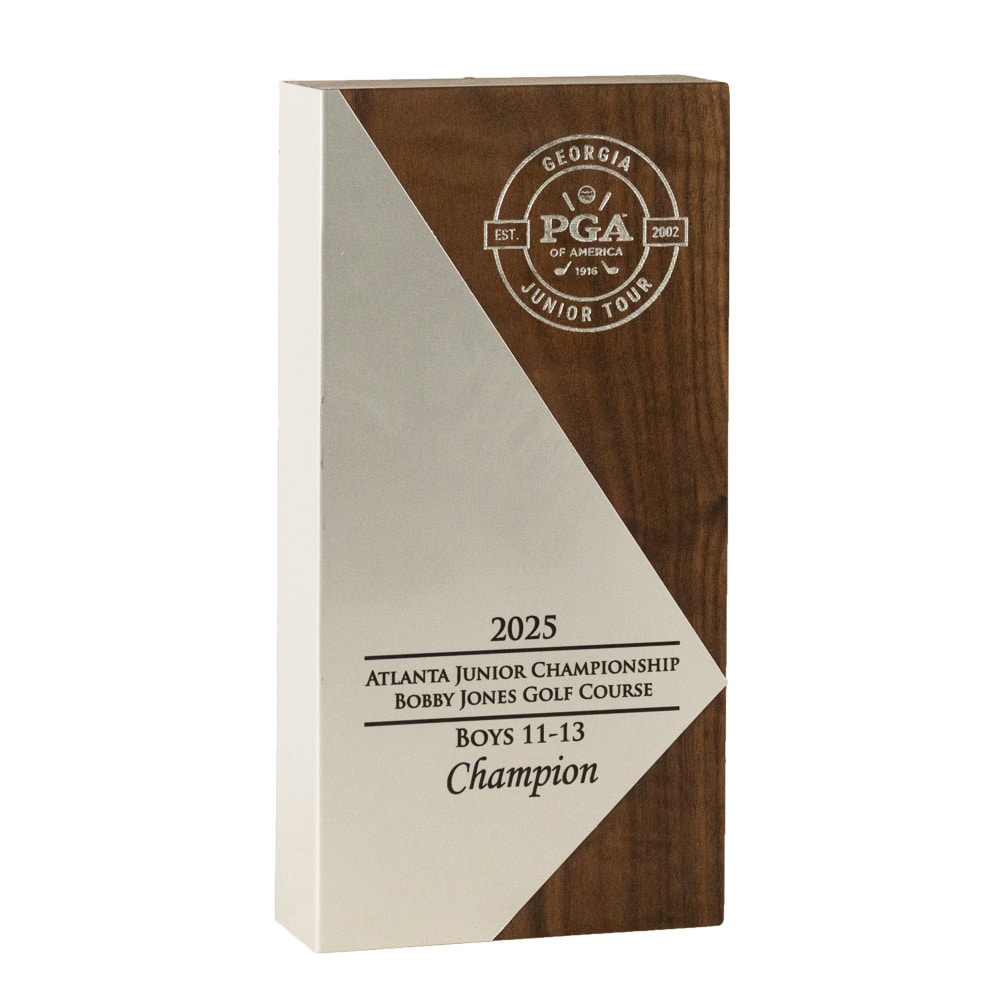 Pinnacle Achievement Award - Image 6