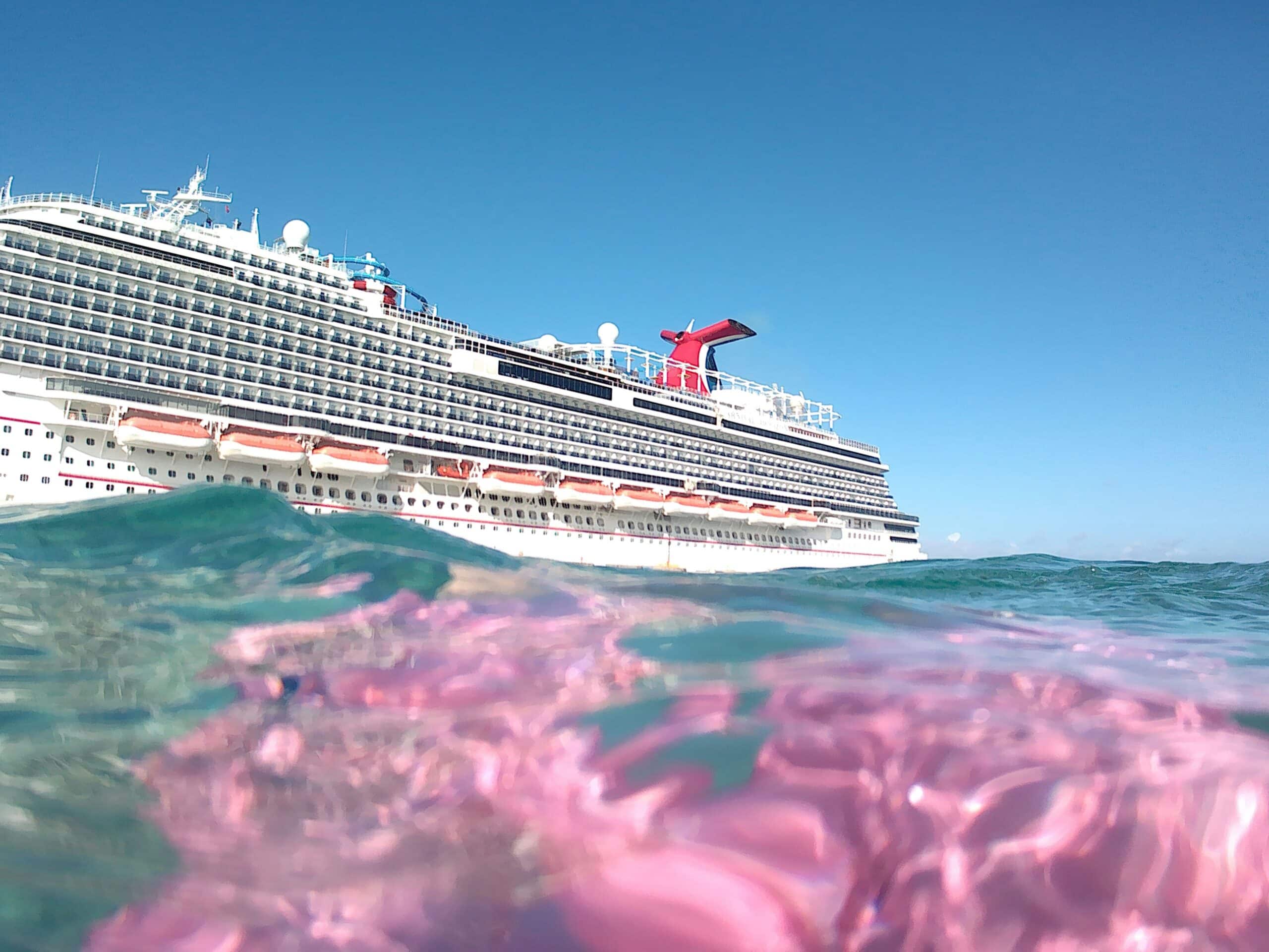 4-Night Ocean Adventure Cruise - Image 20