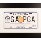 Framed Wooden License Plate