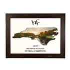 Framed Layered State Award